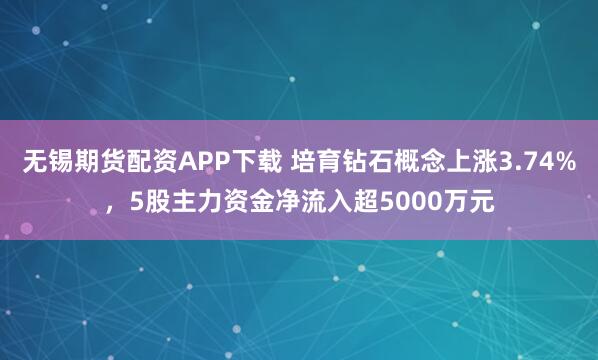 无锡期货配资APP下载 培育钻石概念上涨3.74%，5股主力资金净流入超5000万元