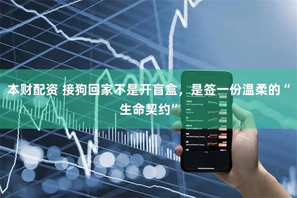 本财配资 接狗回家不是开盲盒，是签一份温柔的“生命契约”