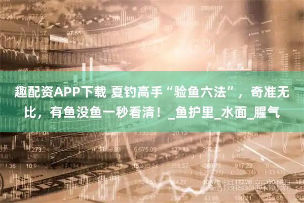 趣配资APP下载 夏钓高手“验鱼六法”，奇准无比，有鱼没鱼一秒看清！_鱼护里_水面_腥气