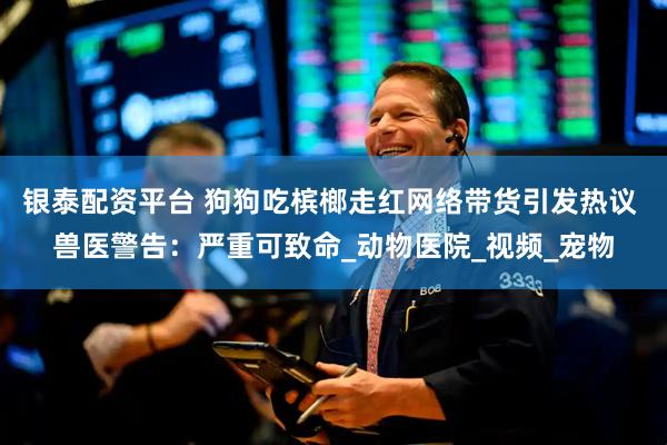 银泰配资平台 狗狗吃槟榔走红网络带货引发热议 兽医警告：严重可致命_动物医院_视频_宠物