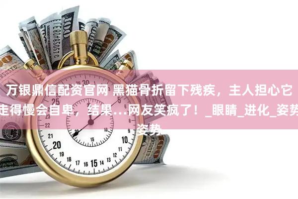 万银鼎信配资官网 黑猫骨折留下残疾，主人担心它走得慢会自卑，结果…网友笑疯了！_眼睛_进化_姿势